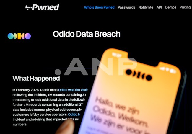 Picture Credit: ANP| Ramon van Flymen