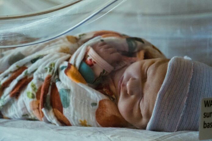 olivia-anne-snyder-VS_0Xc7EeYA-unsplash