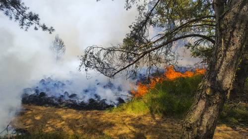 ANP & GinoPress B.V. - More regions face increased risk of wildfires