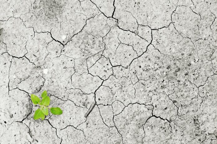 Drought and food shortage