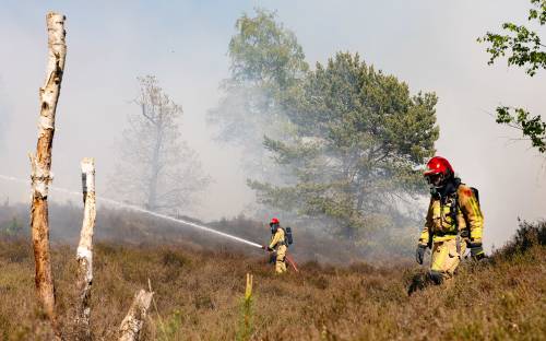 Wildfires NL 2026