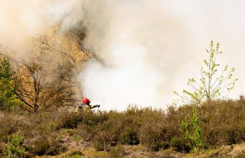 Fire on Oirschotse Heide, next to military grounds IRIS VAN DEN BROEK / ANP