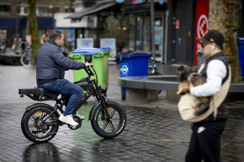 Fat bike