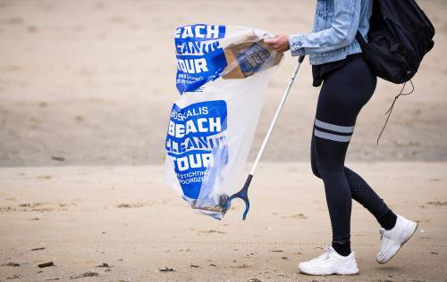 Beach cleanup