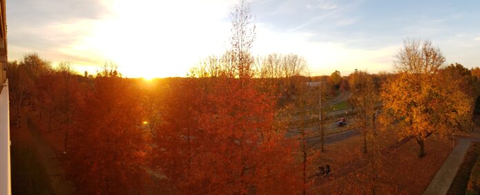 Autumn sunshine